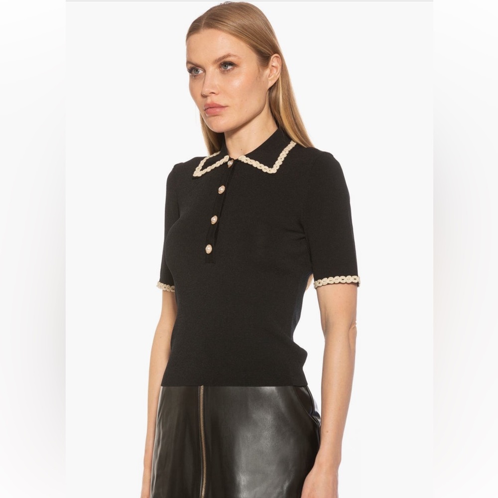 Alexia Admor collared knit short sleeve top (size XS) NWOT